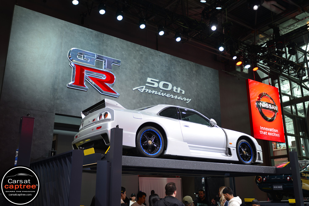 D8E_5870 copy.jpg